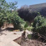 اجاره ویلایی ۲۵۰ متری فاز۲